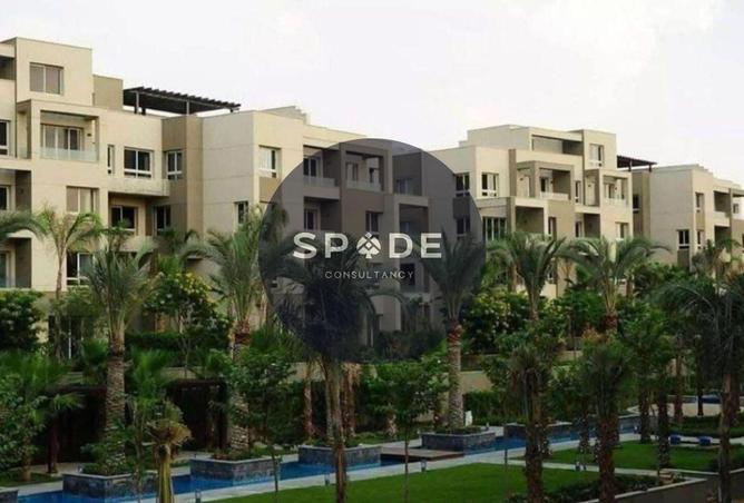 8670018 - Property Image 3