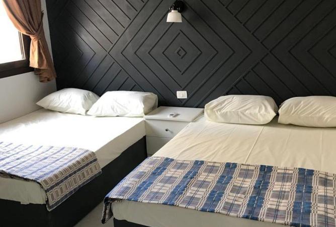 52442867 - Property Image 3