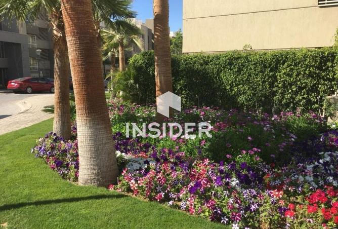 66434974 - Property Image 2