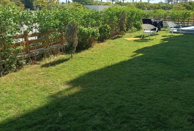 56508244 - صورة العقار 3