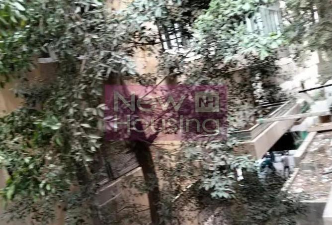 80523429 - صورة العقار 3