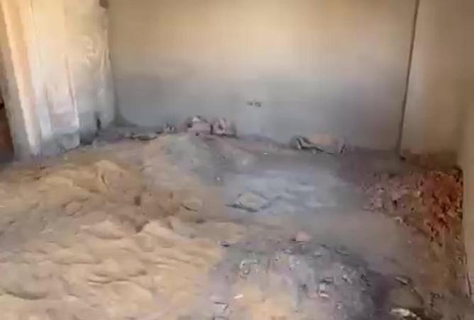 66433759 - صورة العقار 2