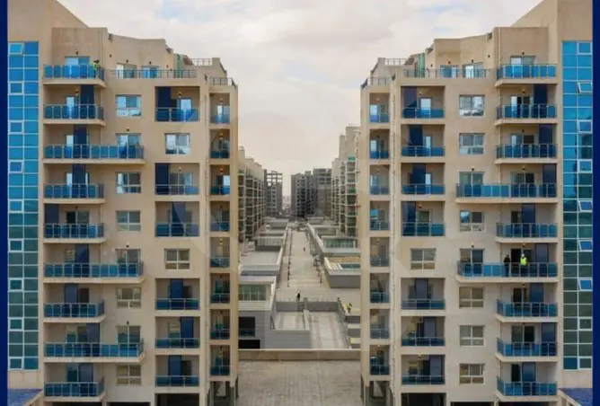 109925706 - Property Image 3