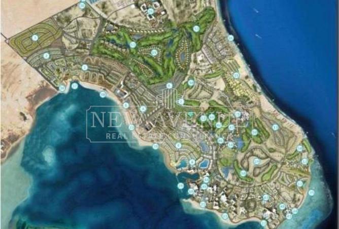 76781351 - صورة العقار 2