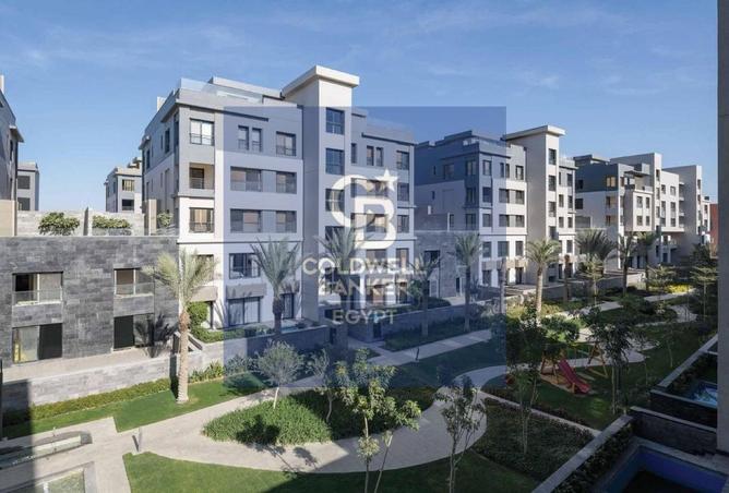 61449775 - صورة العقار 3