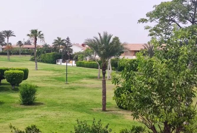 76234439 - صورة العقار 3