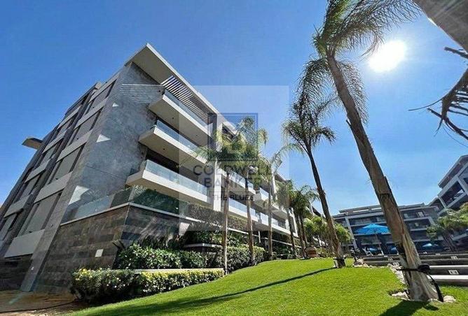 57995630 - Property Image 3