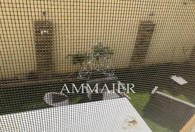 85053338 - صورة العقار 3