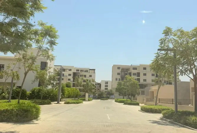 118286174 - Property Image 3
