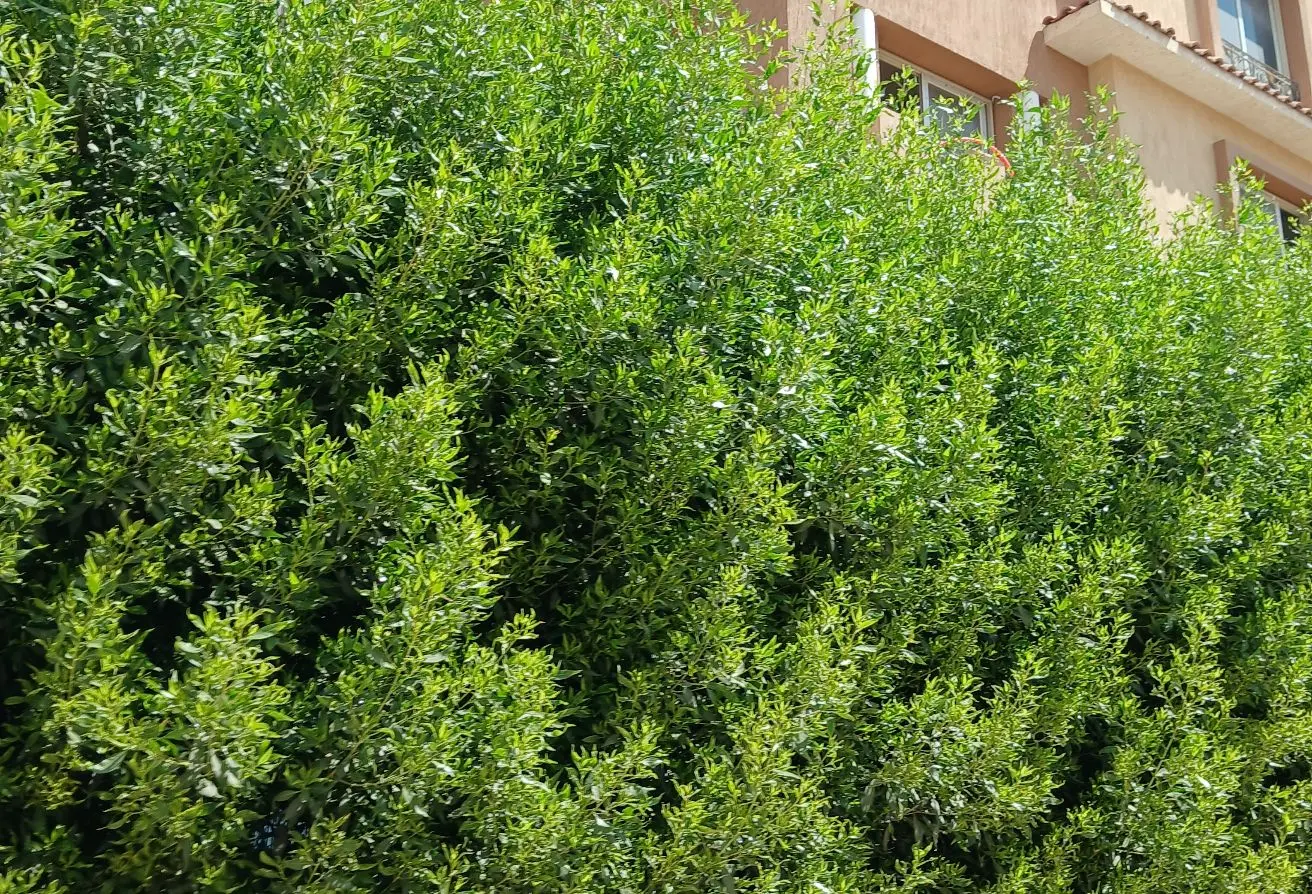 108243645 - الصورة الرئيسية للعقار