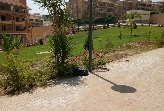 108243645 - صورة العقار 2