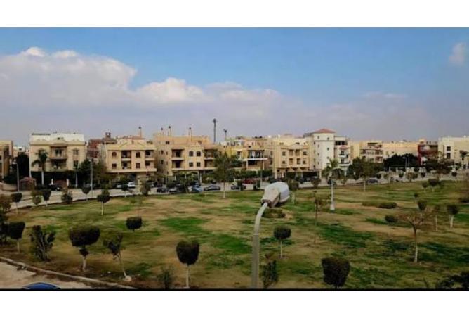 96042828 - صورة العقار 3