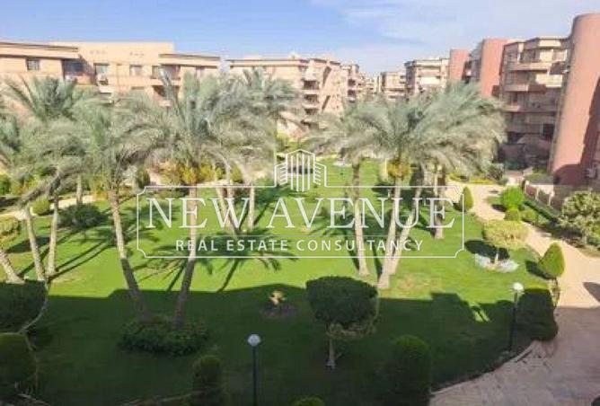 64390526 - صورة العقار 3