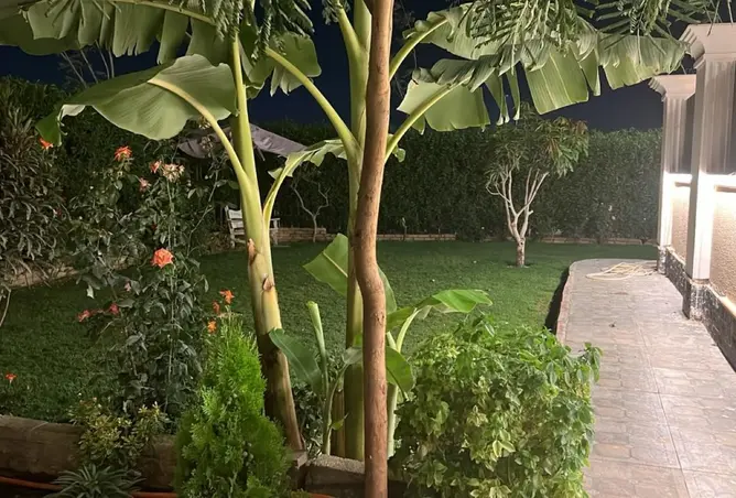 111027721 - صورة العقار 2