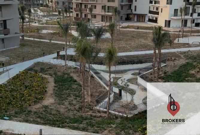 65920741 - Property Image 3