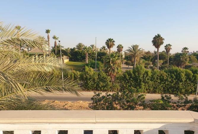 104593869 - صورة العقار 3