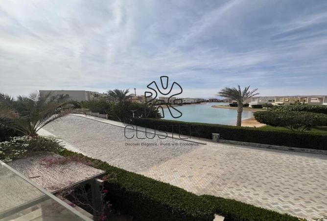 66434453 - Property Image 3