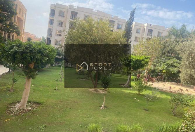 56498329 - صورة العقار 3