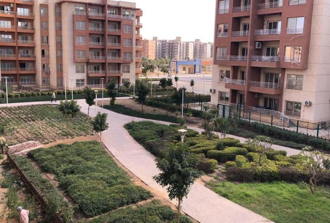 80272224 - الصورة الرئيسية للعقار