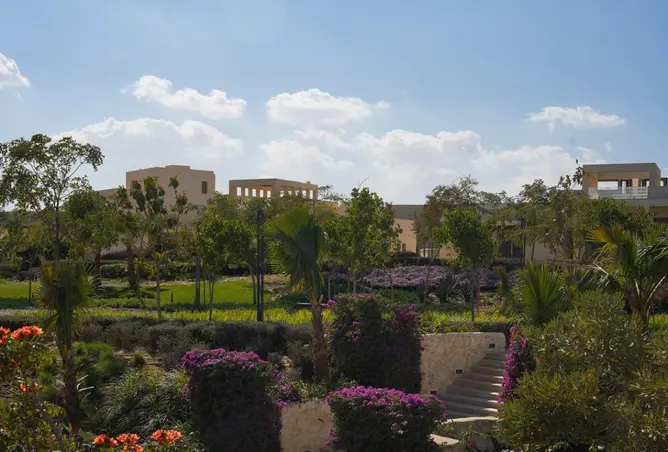 113535074 - صورة العقار 3