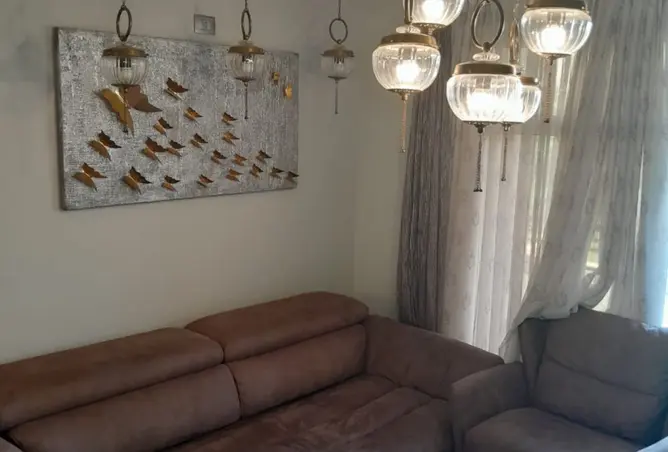 117280774 - Property Image 2