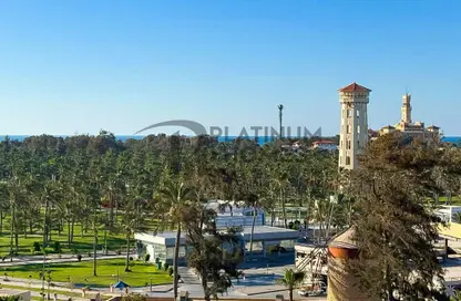 شقة - 2 غرف نوم - 2 حمامات للبيع في قصر المنتزة - حي ثان المنتزة - الاسكندرية شقة - 2 غرف نوم - 2 حمامات للبيع في قصر المنتزة - حي ثان المنتزة - الاسكندرية