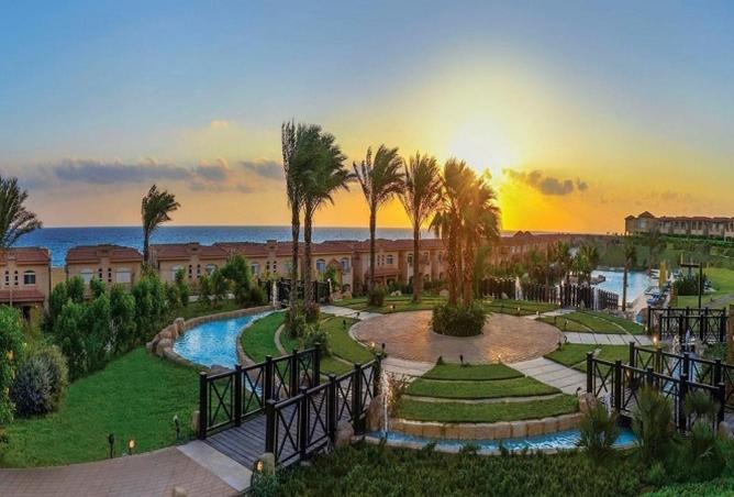 58735511 - Property Image 3