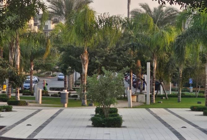 100091193 - صورة العقار 3