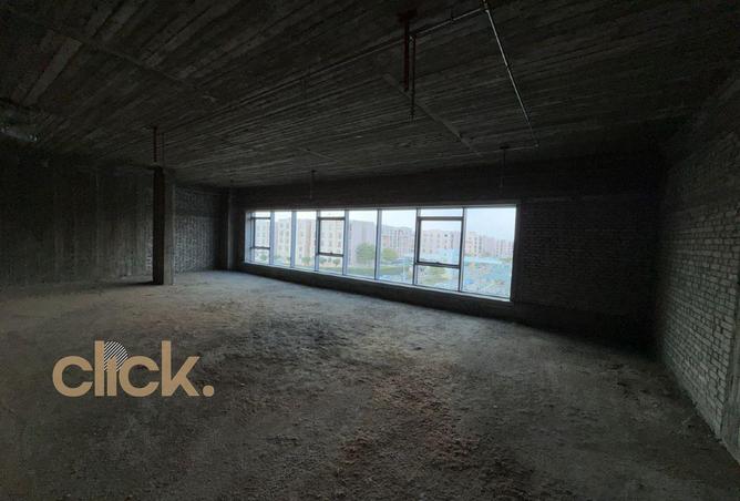 91005597 - Property Image 3
