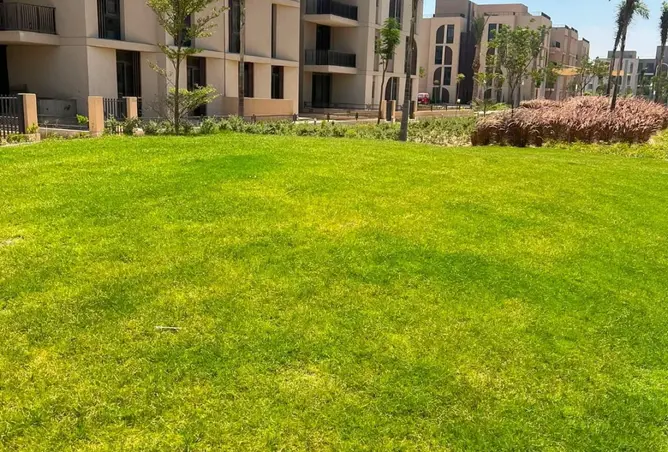 113543297 - صورة العقار 3