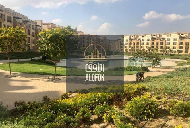 56493806 - Property Image 2