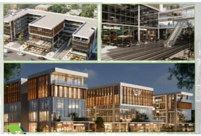 65659616 - Property Image 3