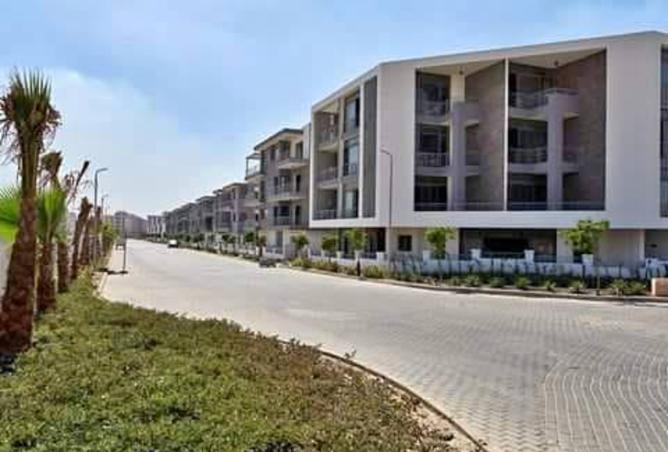 8456175 - Property Image 3