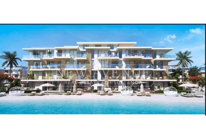 98819628 - Property Image 3
