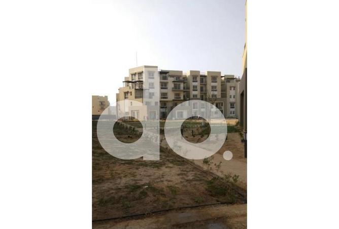 107132174 - Property Image 3
