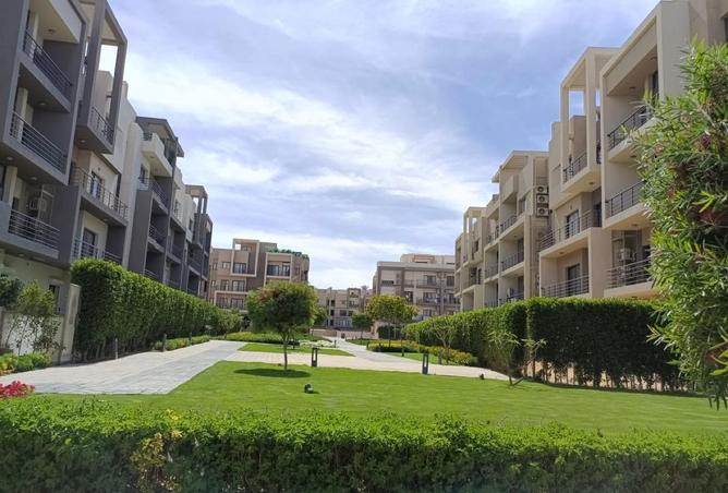 54762743 - Property Image 3