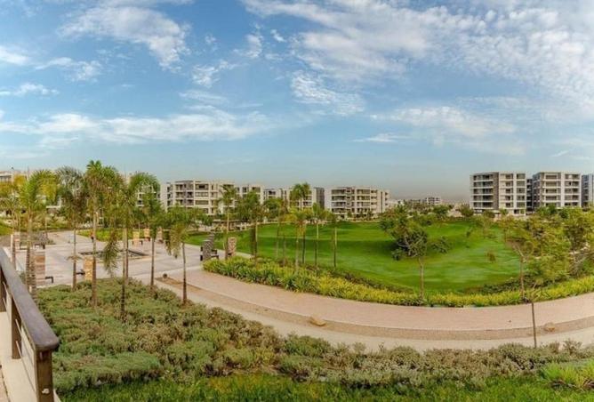 65659614 - صورة العقار 3