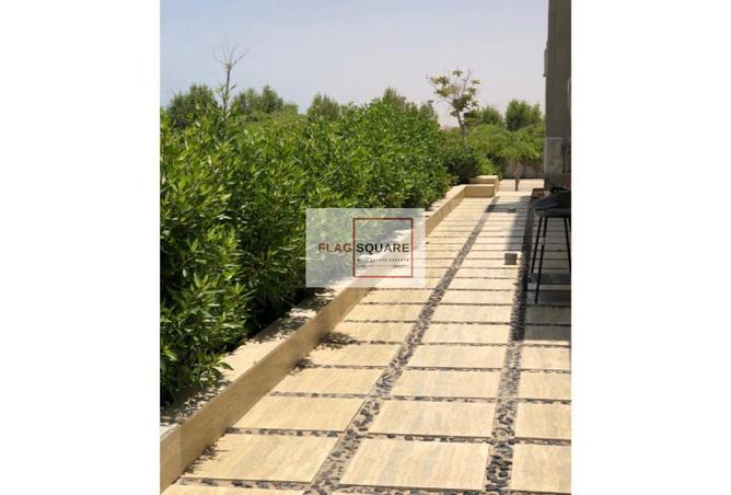 99107430 - صورة العقار 2