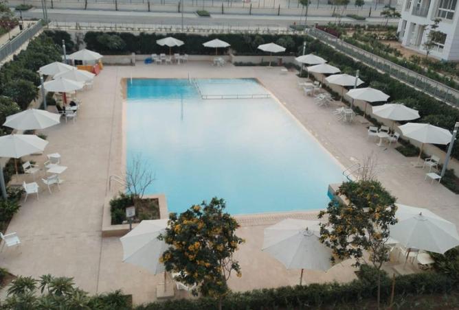 8537464 - Property Image 3