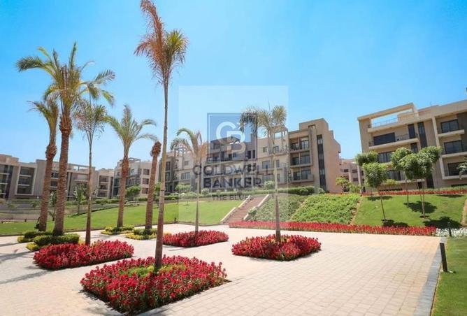 74310951 - صورة العقار 3