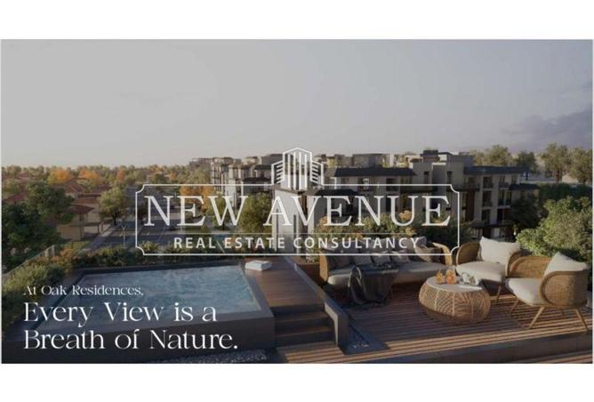 8669872 - Property Image 3