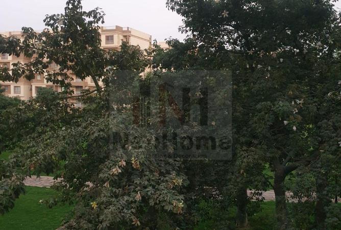 58246018 - صورة العقار 2