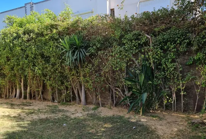 116230861 - Property Image 3