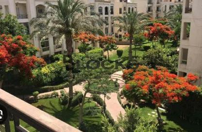 Show Room - Studio for rent in Hadayek Al Mohandessin - 4th District - Sheikh Zayed City - Giza