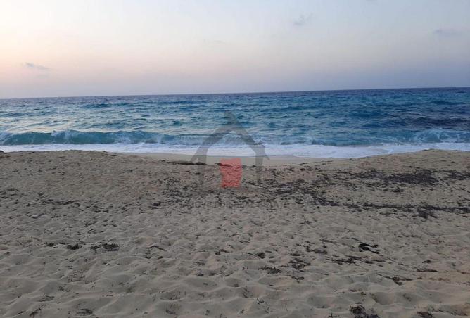 102906390 - صورة العقار 3