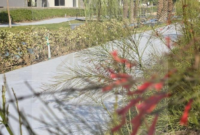 66704561 - Property Image 3