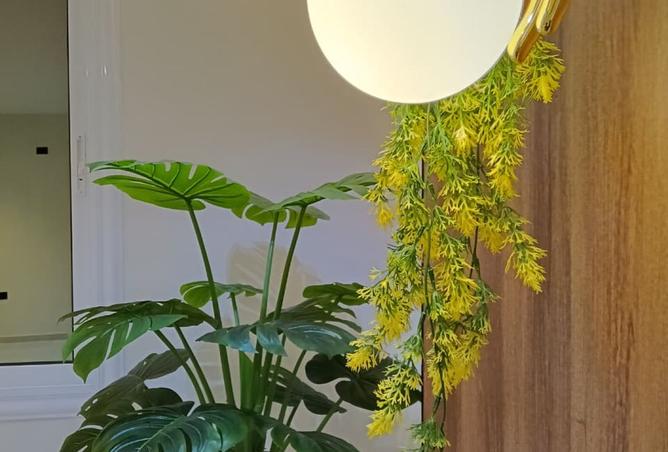 8471122 - Property Image 3