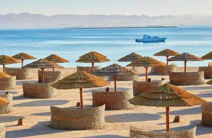 شقة - غرفة نوم - 1 حمام للبيع في بلانكا جاردنز - سوما باى - سفاجا - الغردقة - محافظة البحر الاحمر شقة - غرفة نوم - 1 حمام للبيع في بلانكا جاردنز - سوما باى - سفاجا - الغردقة - محافظة البحر الاحمر