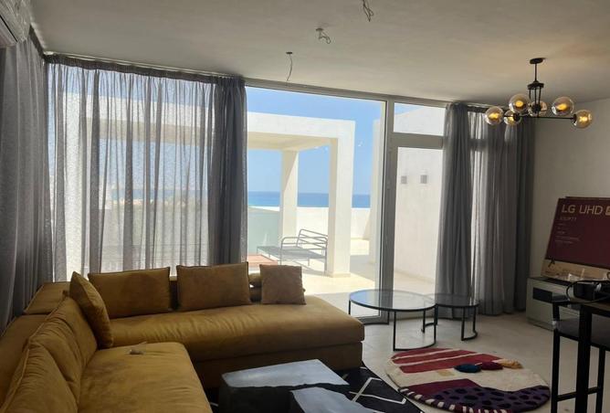 64904033 - صورة العقار 3