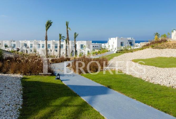 53725794 - Property Image 3